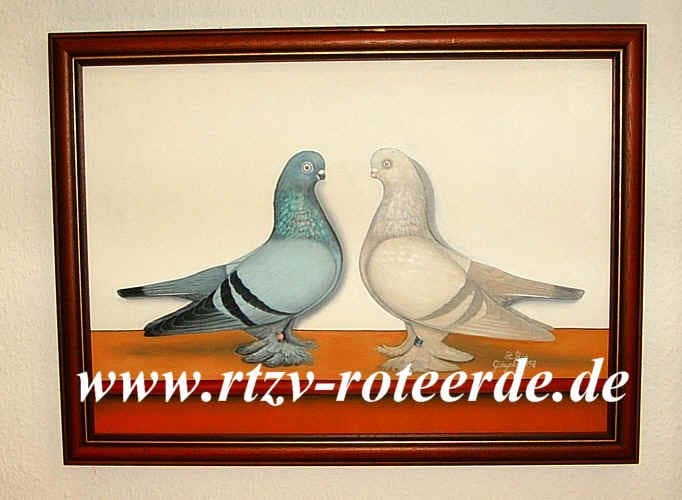 Berliner Kurze, Ausstellungsstück im Taubenmuseum
