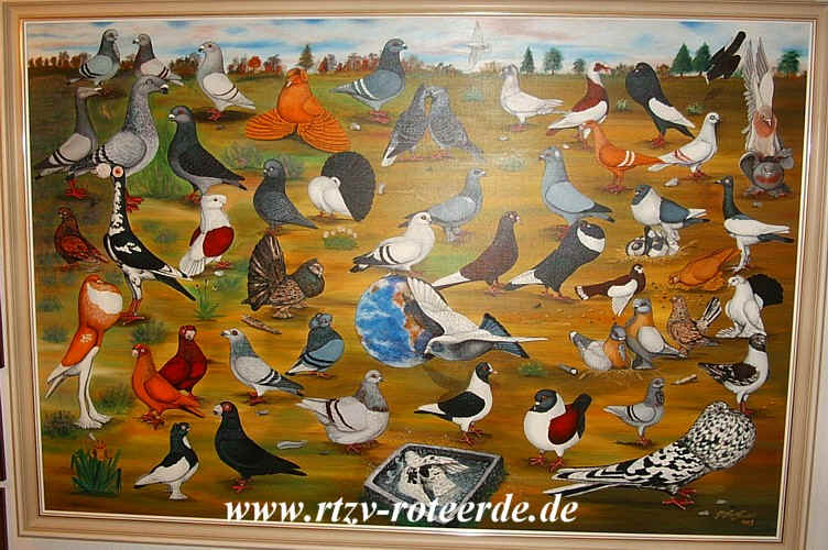 VDT-Schau 2006 in Nürnberg, Foto 3