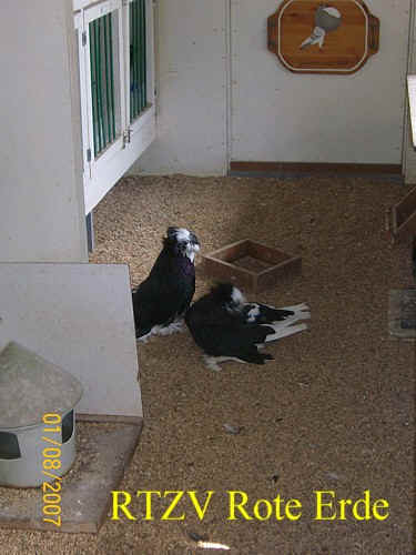 Vereinsausflug 2007 nach Holland, Foto 9