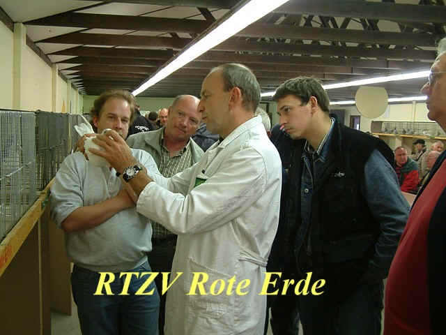 13. Westfälischer Rassetaubentag 2007, Foto 5