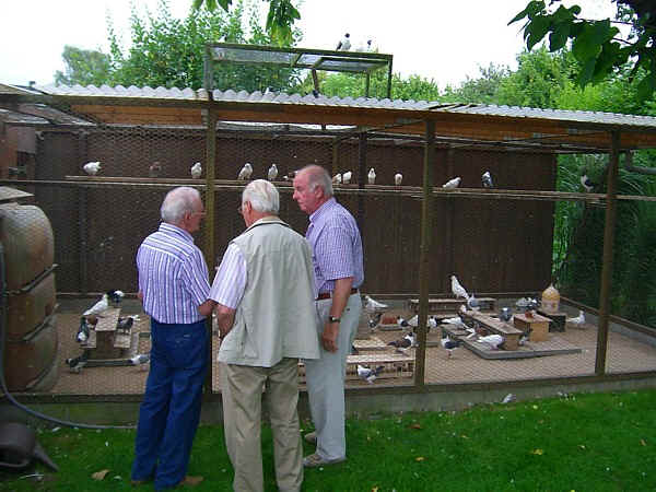 Schlagbesichtigung bei Paul Strauch in Hamm, Foto 2