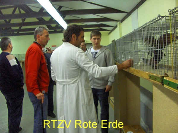 14. Westfälischer Rassetaubentag 2008, Foto 7