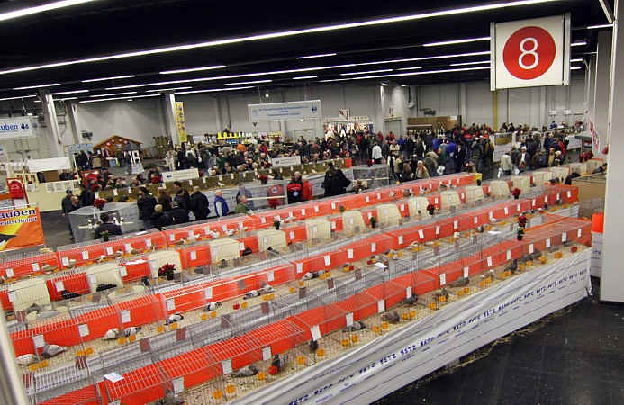 Halle 8, die Europahalle, 57. VDT-Schau 2008 in Dortmund