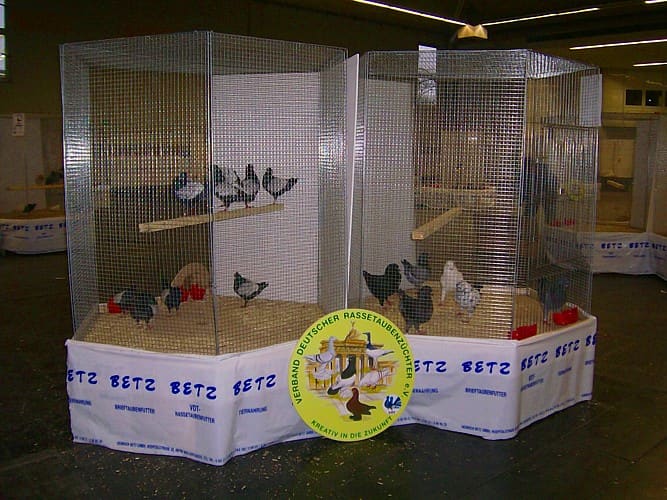 Revier-Volierenschau in Dortmund, Foto 12