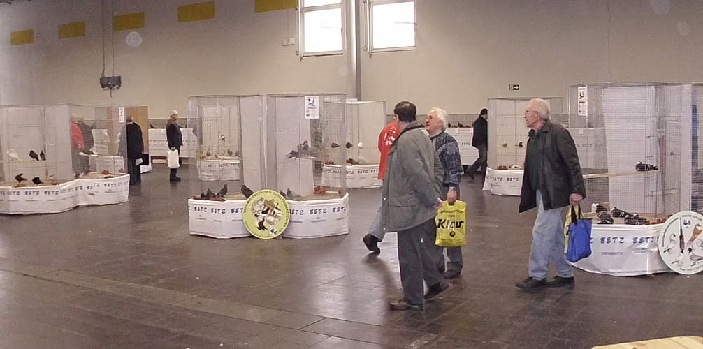 Revier-Volierenschau in Dortmund, Foto 3