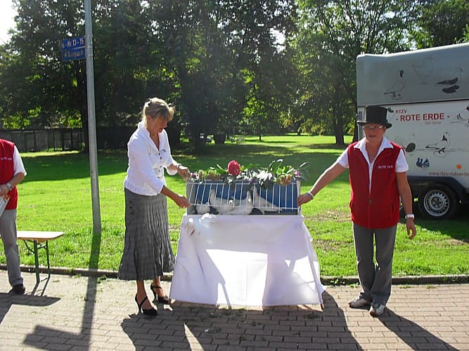 16. Westfälischer Rassetaubentag 2010, Foto 17