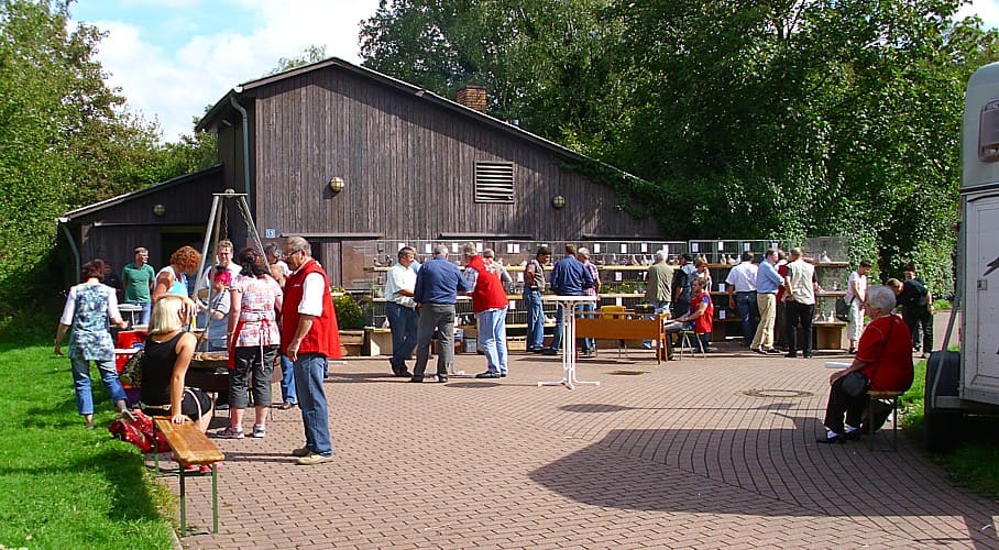 17. Westfälischer Rassetaubentag 2011, Foto 2