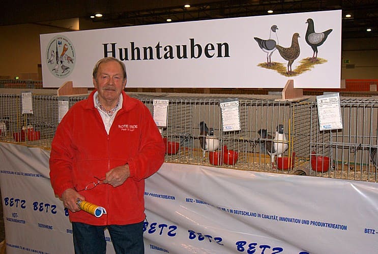 Paul Strauch begutachtet Deutsche Modeneser in den Käfigen