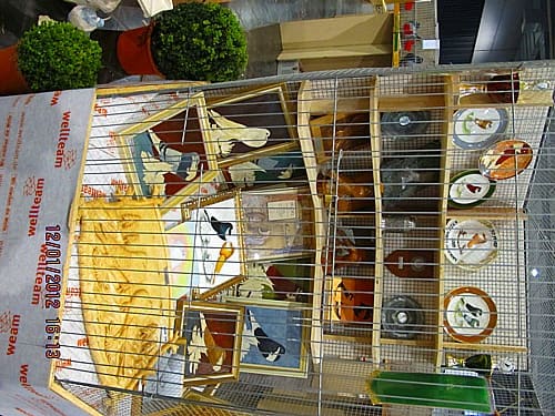 2. Revierschau in Dortmund, Foto 2