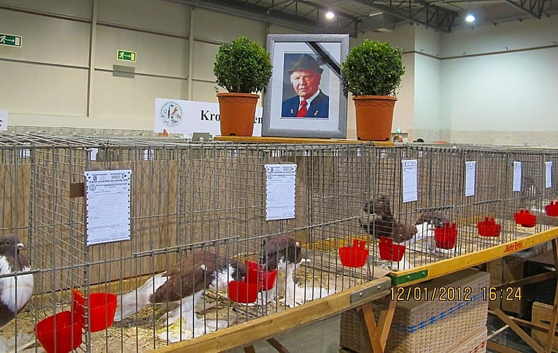 2. Revierschau in Dortmund, Foto 1