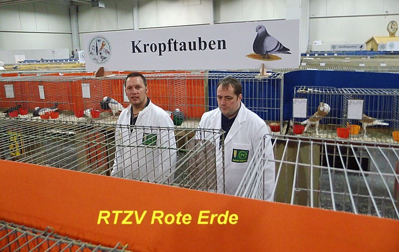 Am Bewertungstag!, 3. Revierschau 2013