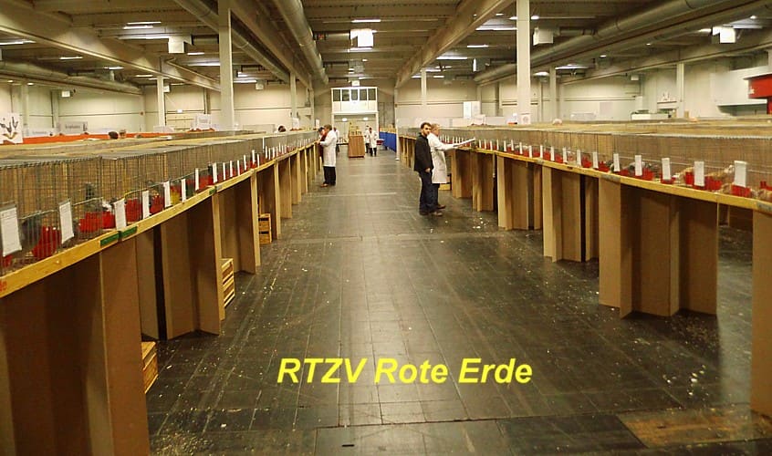 Am Bewertungstag!, 3. Revierschau 2013