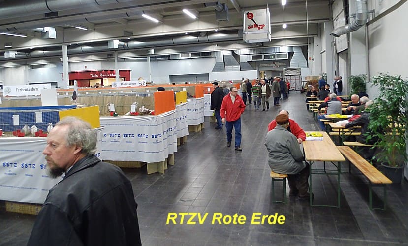 3. Revierschau in Dortmund, Foto 5
