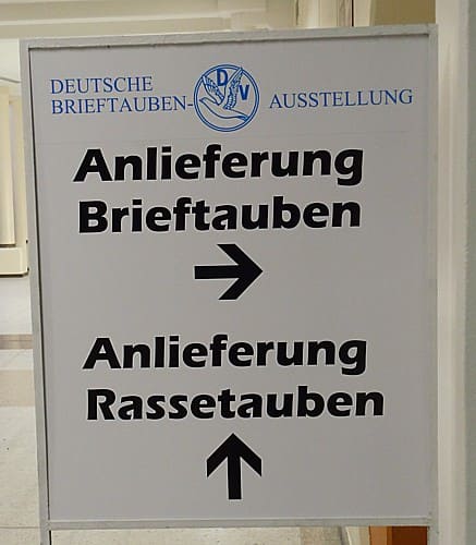 4. Revierschau in Dortmund, Foto 7