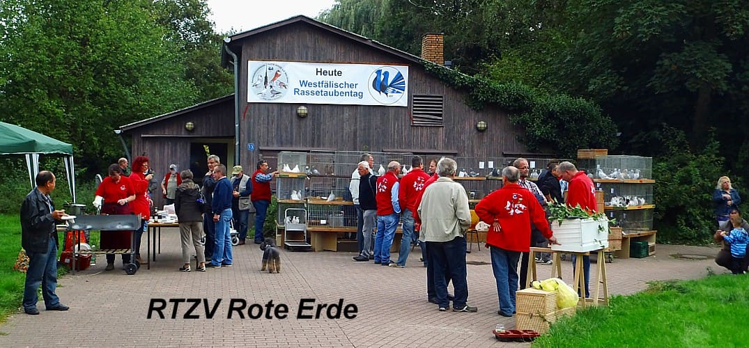 Aufgebaute Ausstellungskäfige vor der Eröffnung
