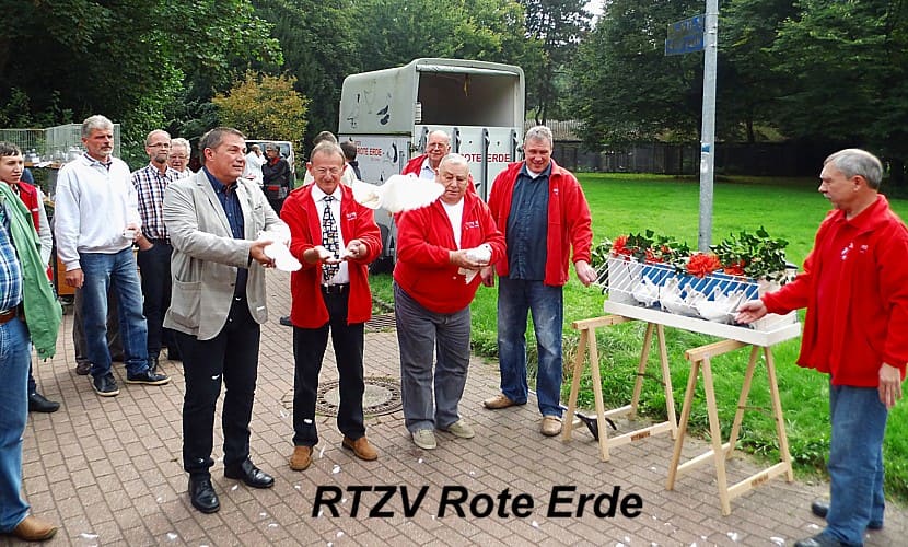 Weiße Tauben fliegen zum Start auf