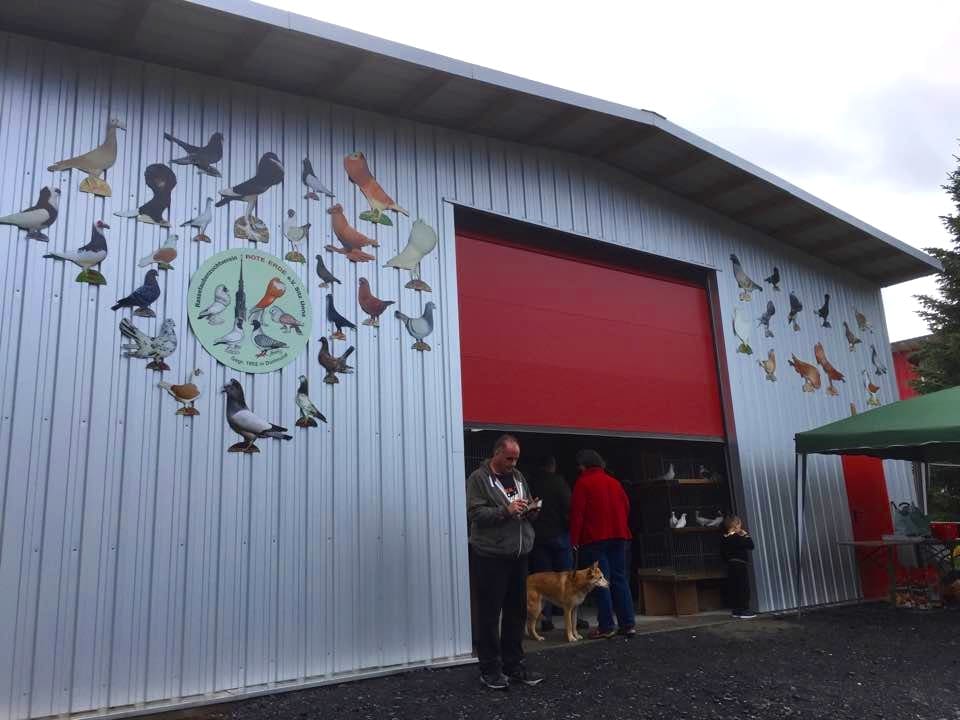 23. Westfälischer Rassetaubentag: Die neue Halle hat ihre Bewährungsprobe bestanden, Foto 4