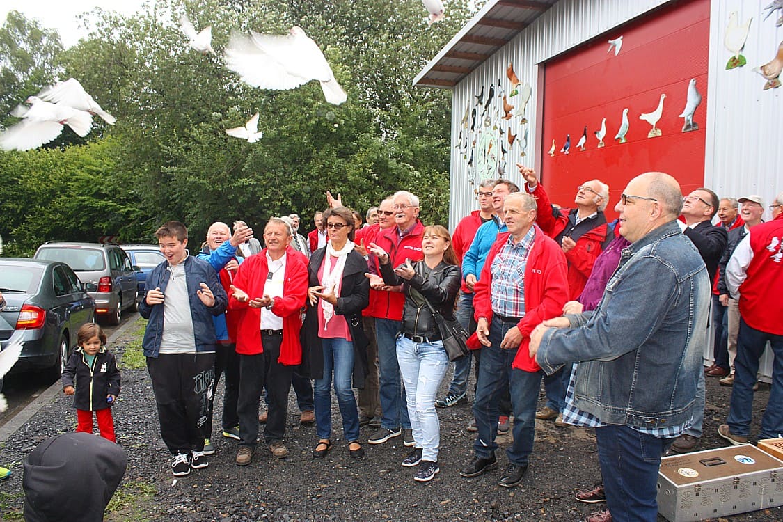 Taubenstart vor der Halle