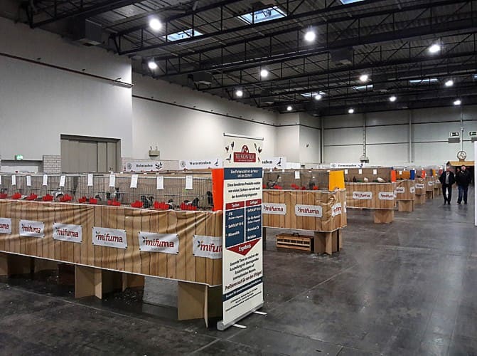 8. Revierschau in Dortmund, Foto 1