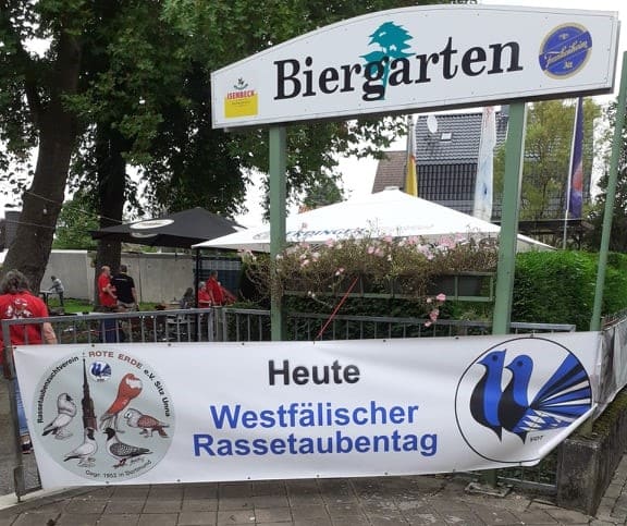 Westfälischer Rassetaubentag 2021, Foto 1