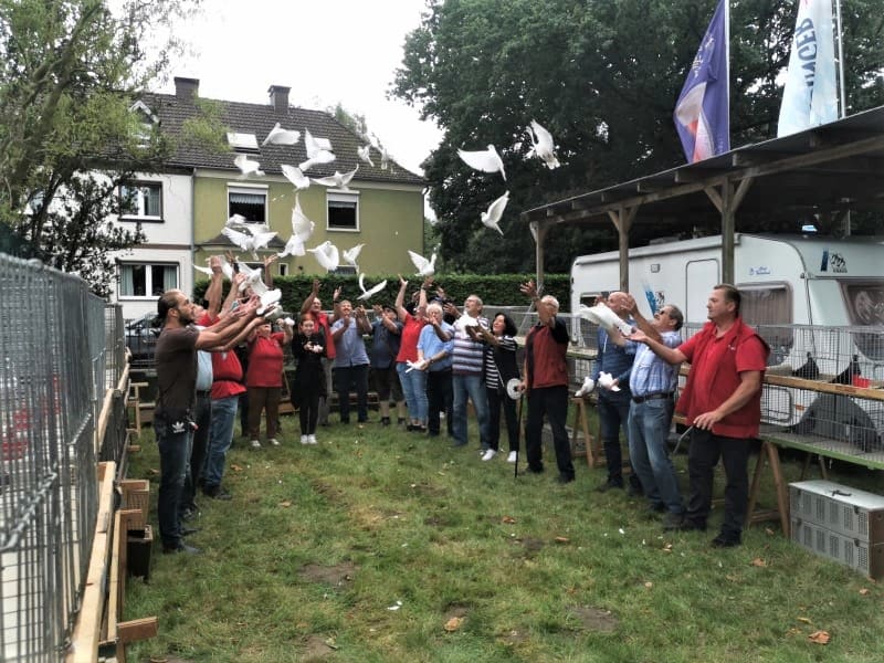 Westfälischer Rassetaubentag 2021, Foto 2