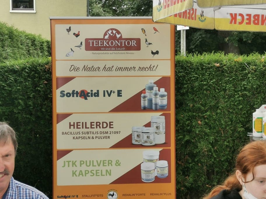 Westfälischer Rassetaubentag 2021, Foto 4