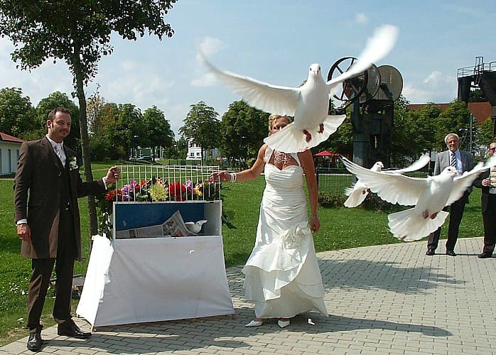 Hochzeitstauben, Foto 4